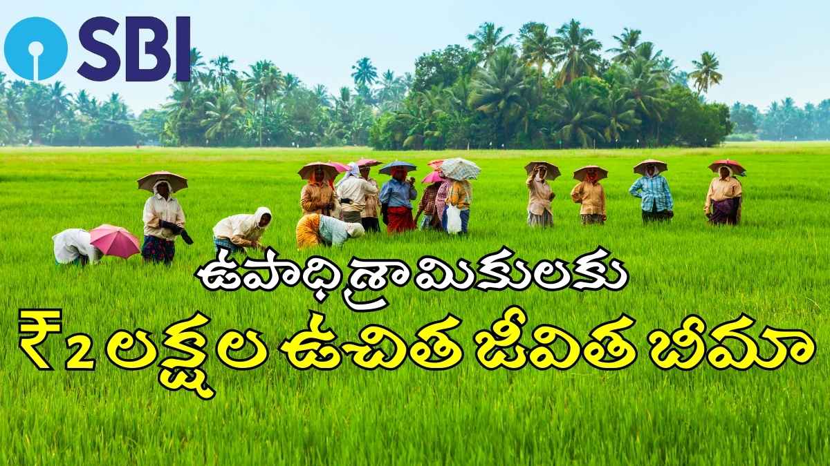 AP Government Agreement With SBI Provide To 2 Lakhs Free Bhima Scheme Insurance For MGNREGA Labourers