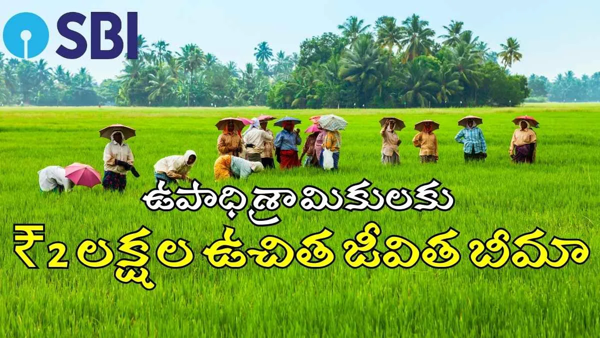 AP Government Agreement With SBI Provide To 2 Lakhs Free Bhima Scheme Insurance For MGNREGA Labourers